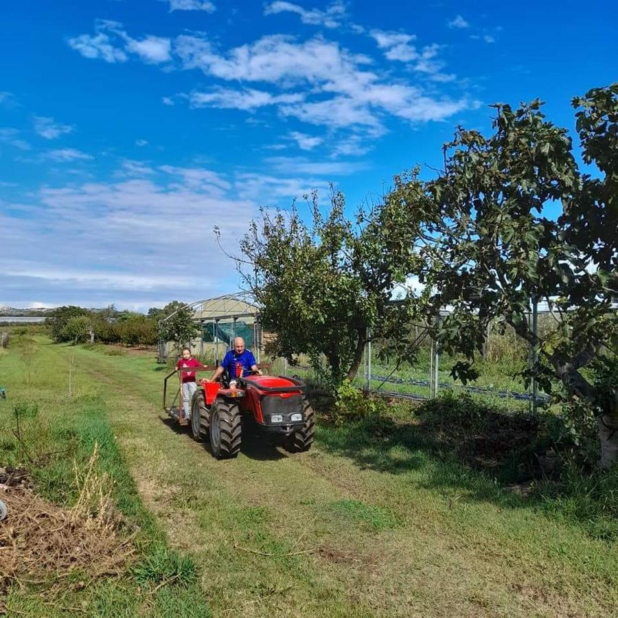 Agriturismo Il Cipresso Villa Vada Kültér fotó