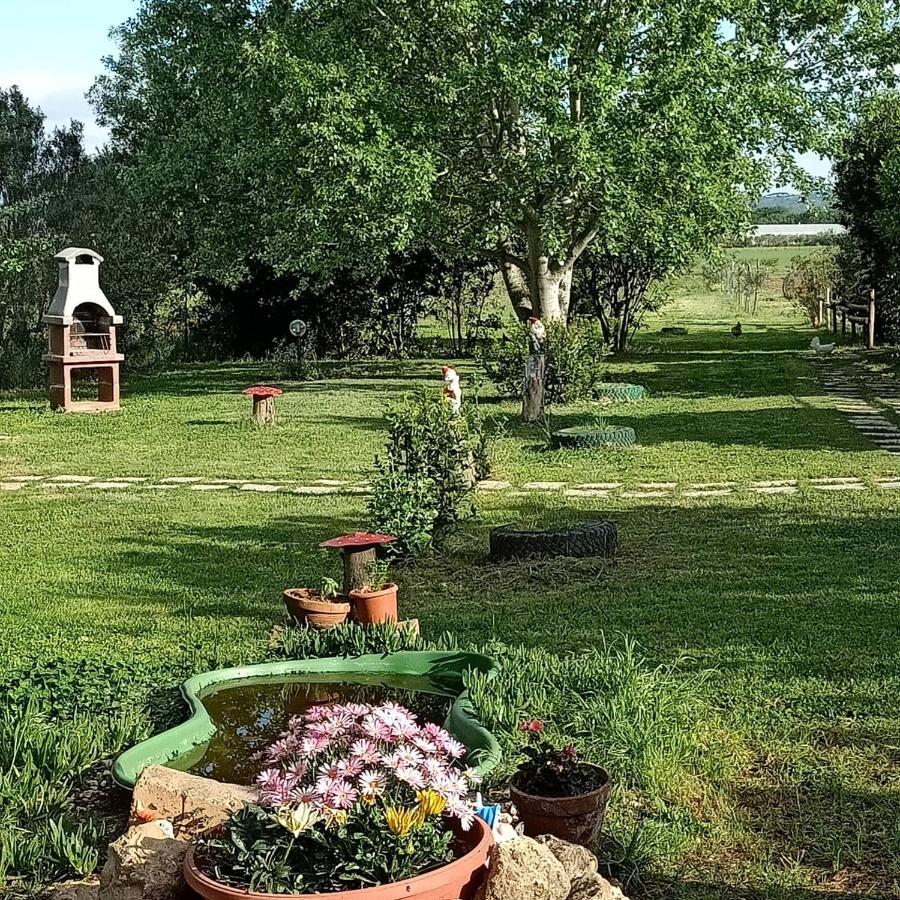 Agriturismo Il Cipresso Vada Kültér fotó