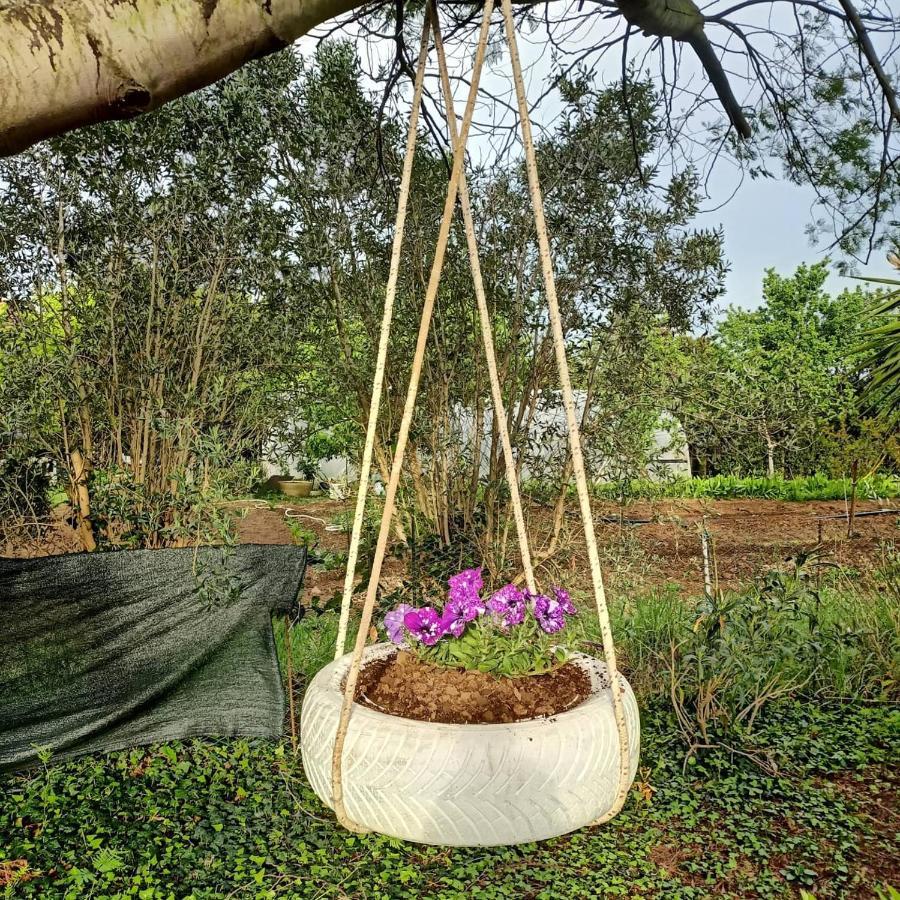 Agriturismo Il Cipresso Vada Kültér fotó