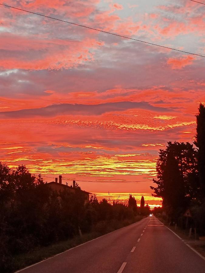 Agriturismo Il Cipresso Villa Vada Kültér fotó