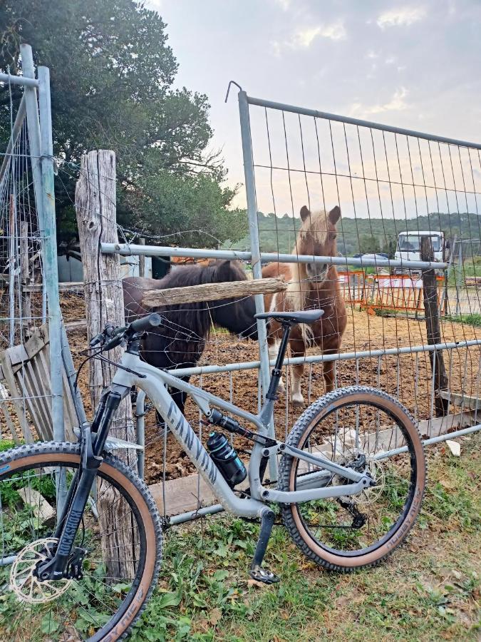 Agriturismo Il Cipresso Villa Vada Kültér fotó