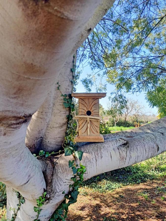 Agriturismo Il Cipresso Villa Vada Kültér fotó