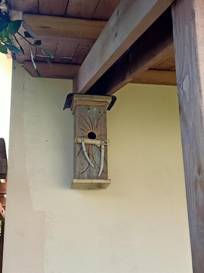 Agriturismo Il Cipresso Vada Kültér fotó