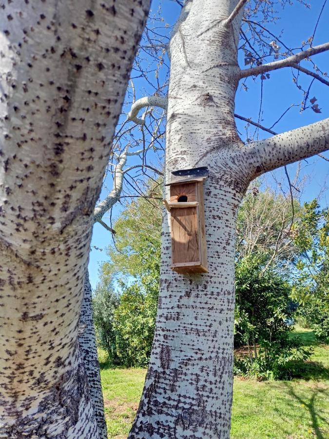 Agriturismo Il Cipresso Vada Kültér fotó