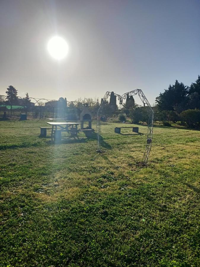 Agriturismo Il Cipresso Vada Kültér fotó