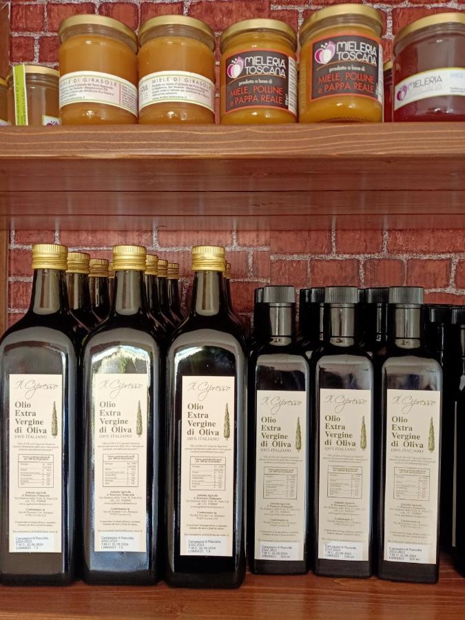Agriturismo Il Cipresso Vada Kültér fotó