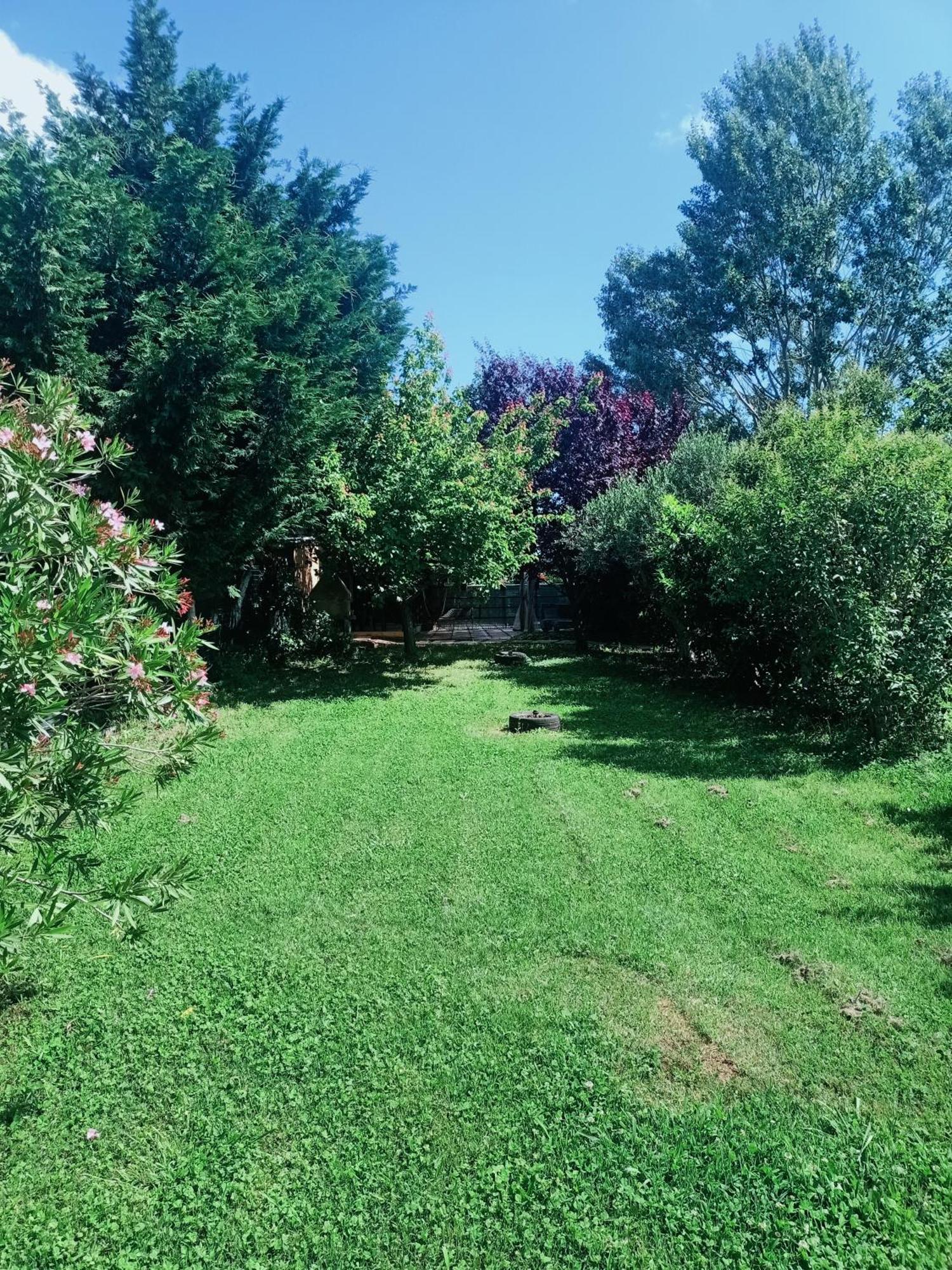 Agriturismo Il Cipresso Vada Kültér fotó