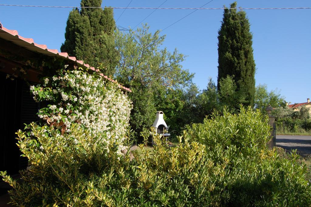 Agriturismo Il Cipresso Villa Vada Kültér fotó