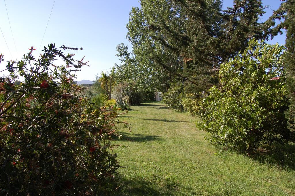 Agriturismo Il Cipresso Vada Kültér fotó